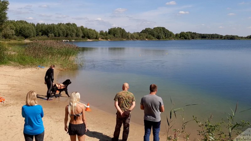 Фотография № 244517