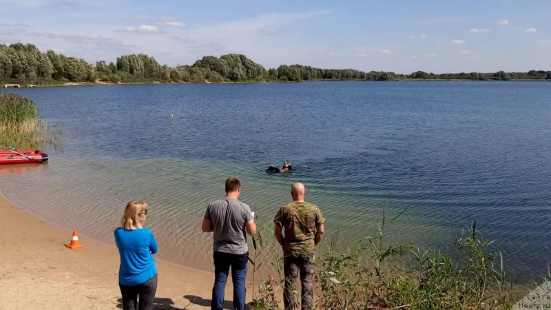 Фотография № 244526