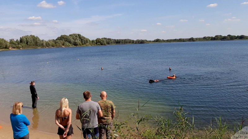 Фотография № 244535