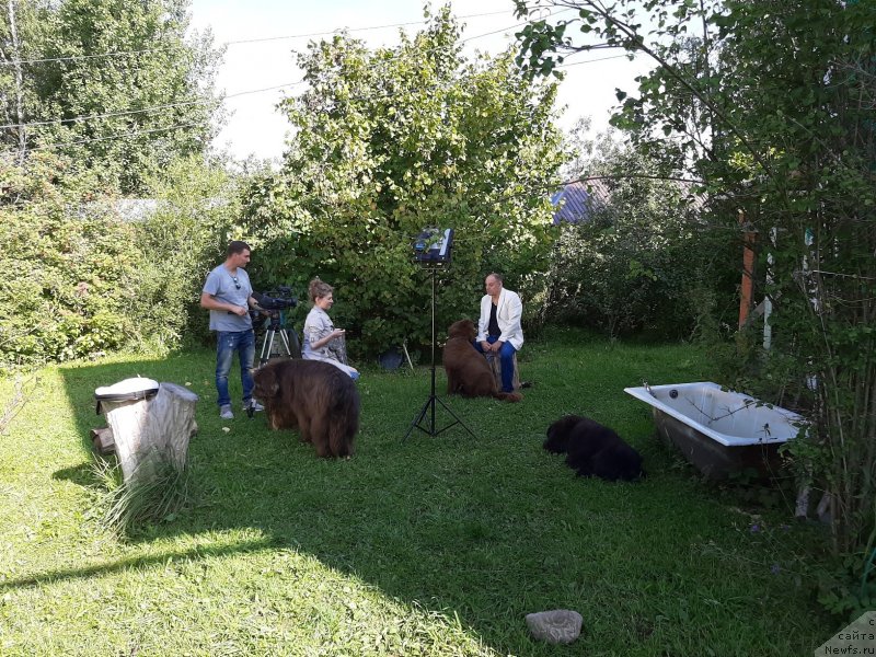 Фотография № 244540