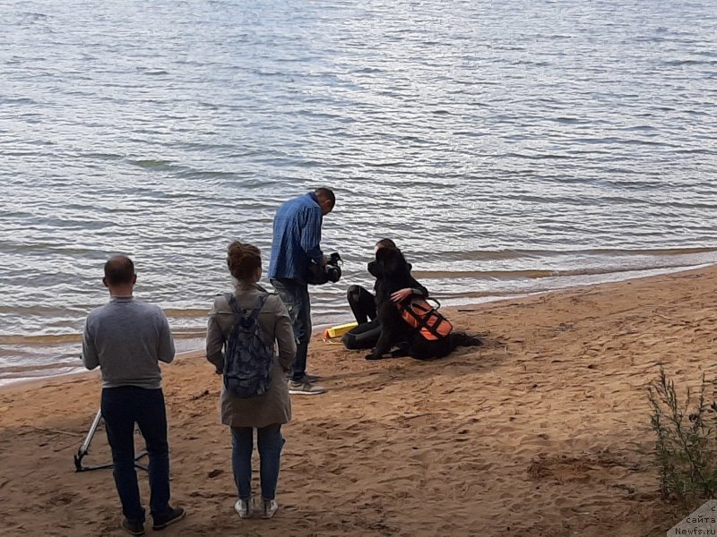 Фотография № 244545