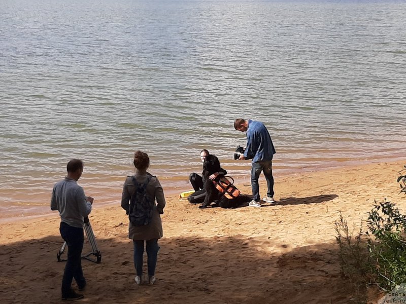 Фотография № 244546