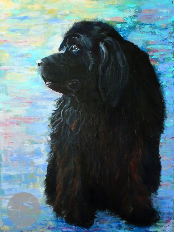 Фотография № 244564