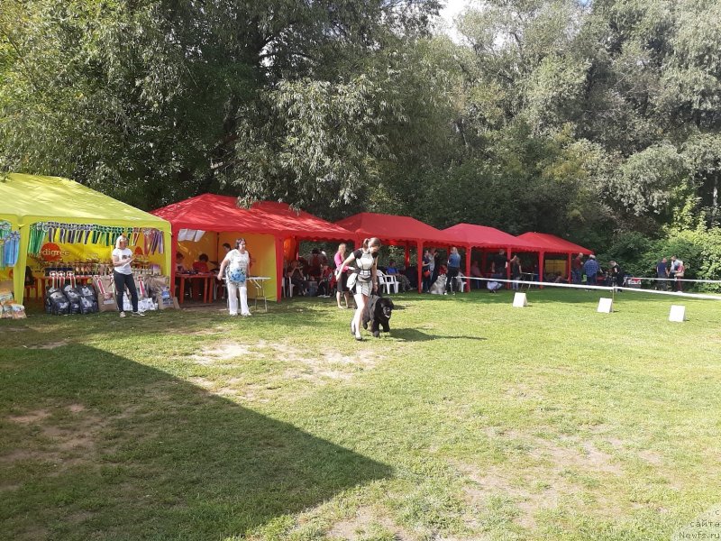 Фотография № 244635