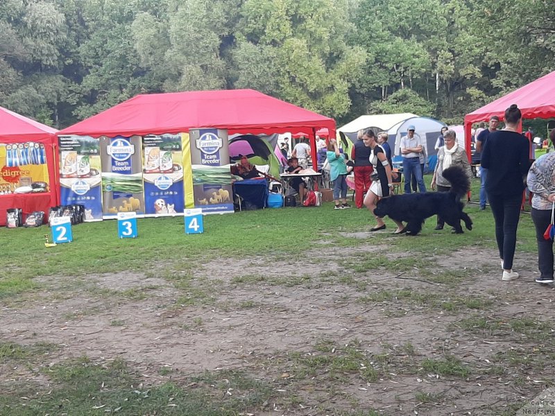 Фотография № 244640