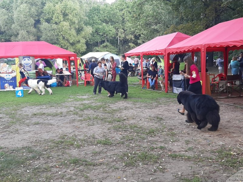 Фотография № 244643