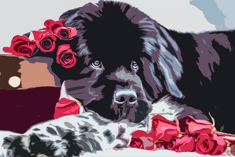 Фотография № 244648