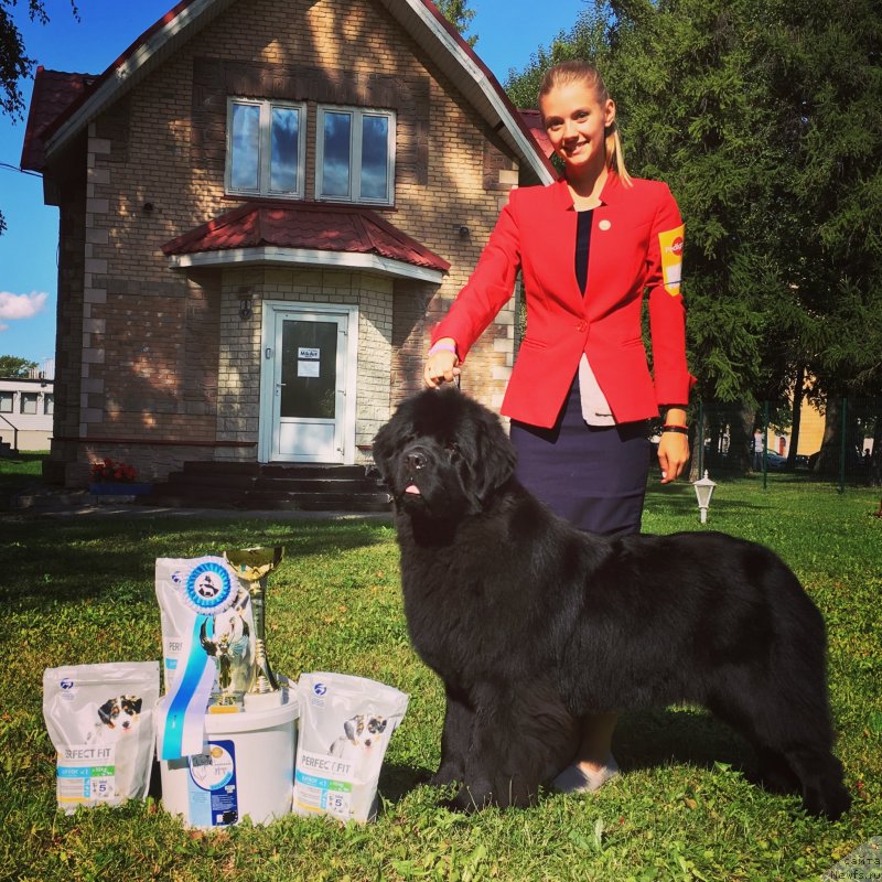 Фотография № 244654