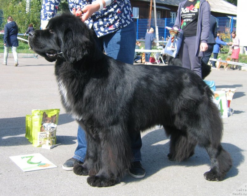 Фотография № 244660