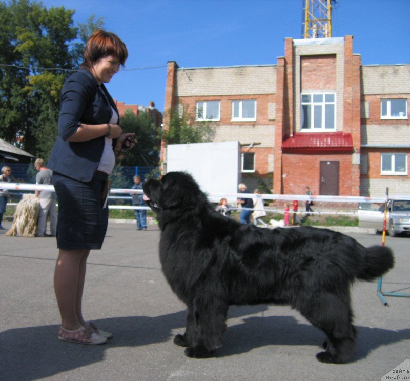 Фотография № 244661