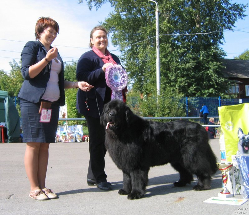 Фотография № 244662