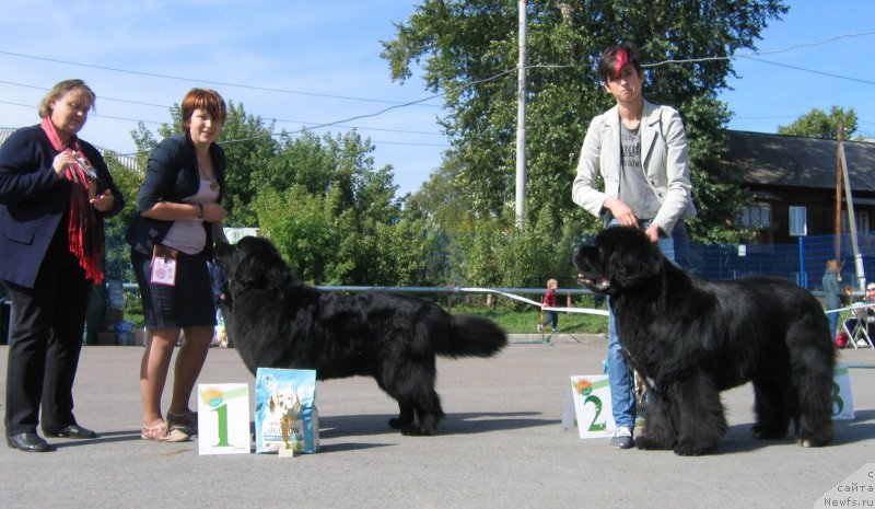 Фотография № 244664