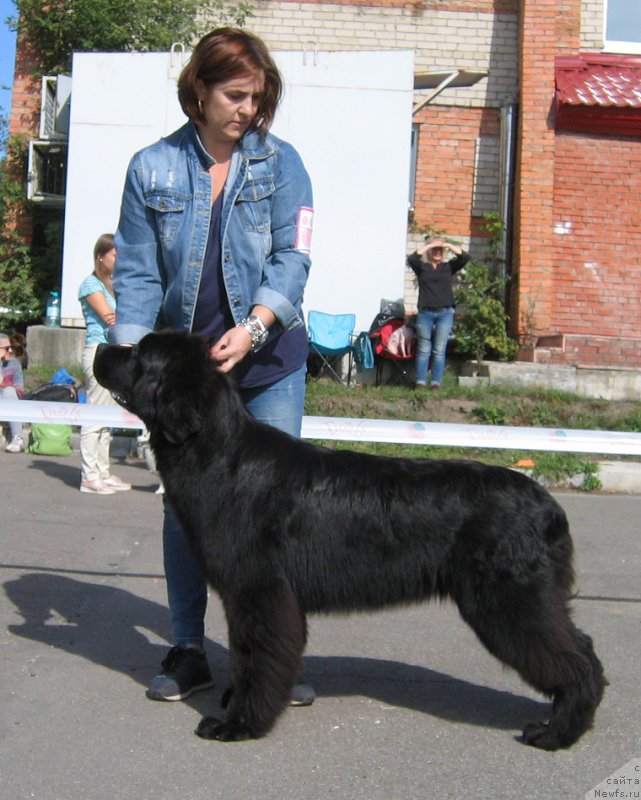 Фотография № 244665