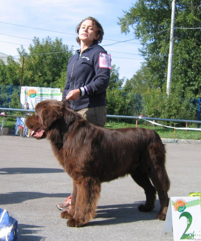 Фотография № 244666