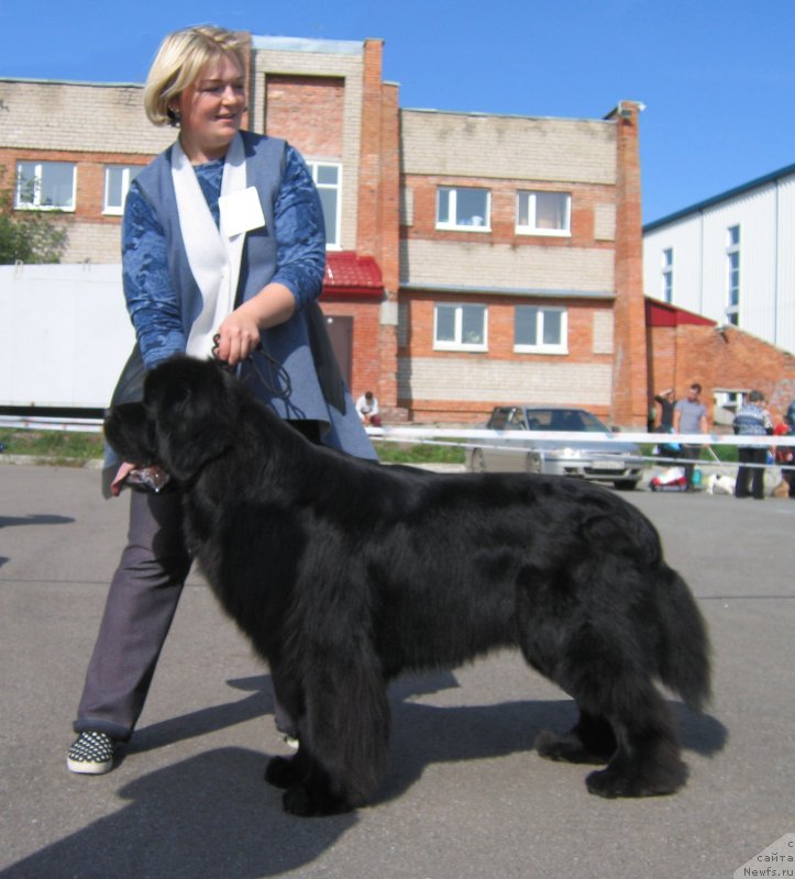 Фотография № 244667