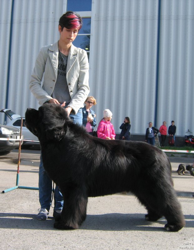 Фотография № 244668