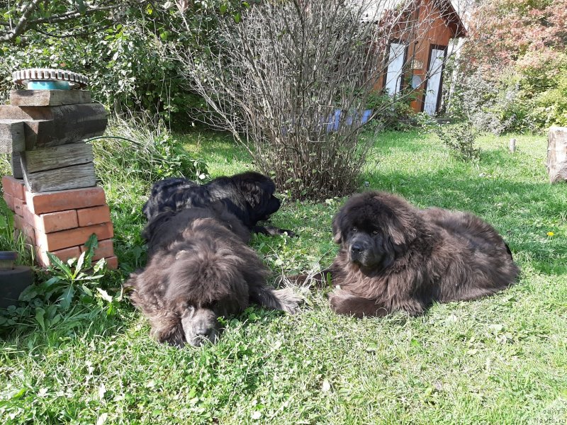 Фотография № 244675