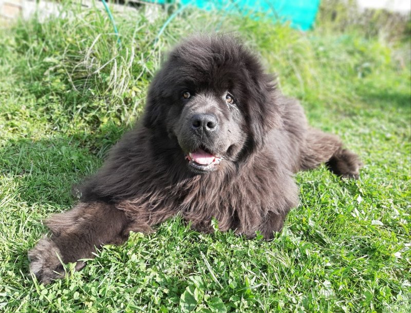 Фотография № 244680