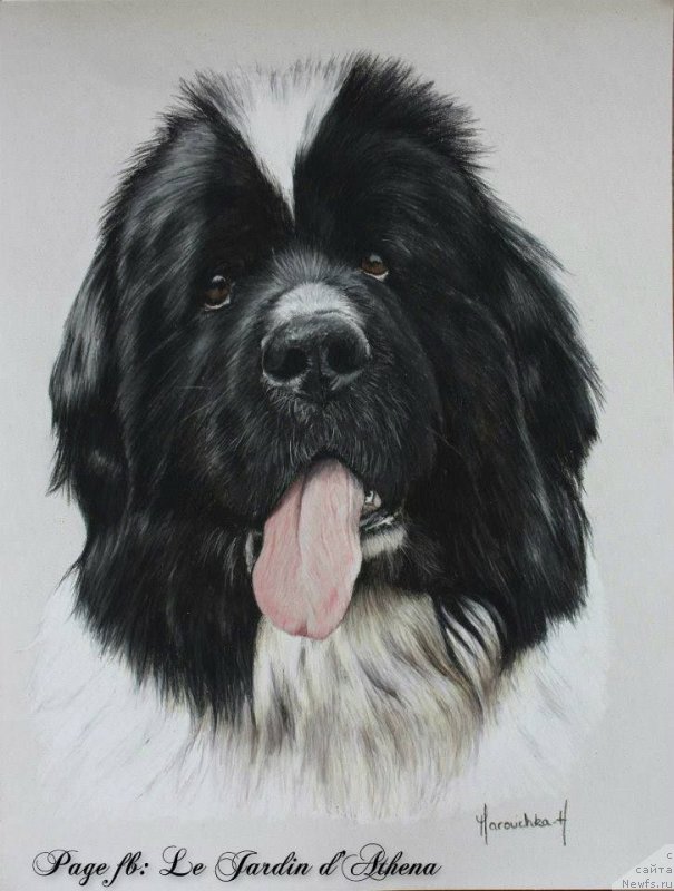 Фотография № 244682