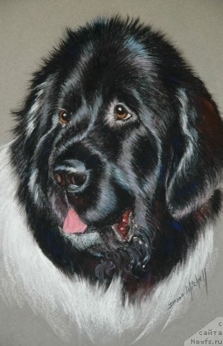 Фотография № 244688