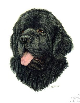 Фотография № 244689