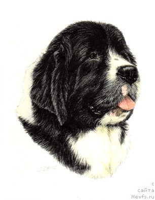 Фотография № 244691