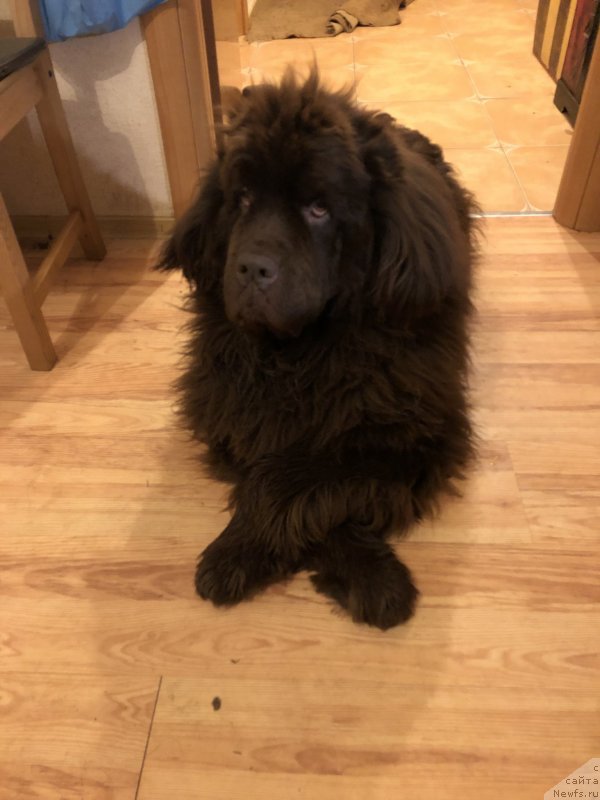 Фотография № 244725