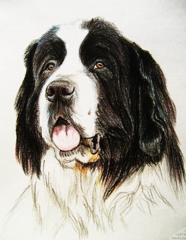 Фотография № 244751