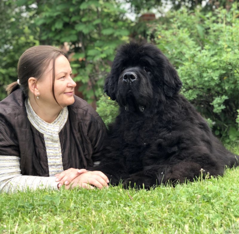 Фотография № 244752