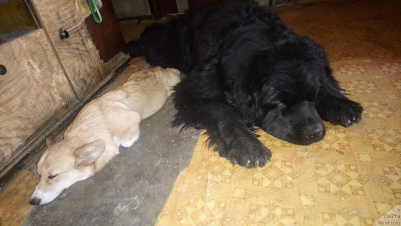 Фотография № 244788