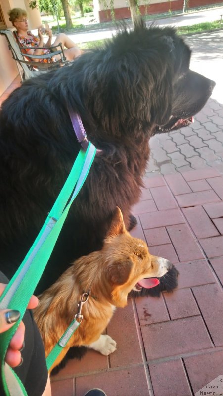 Фотография № 244789