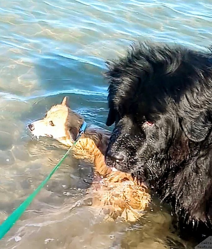 Фотография № 244790