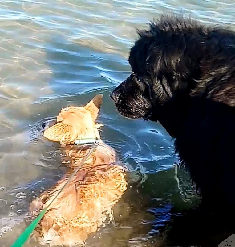 Фотография № 244791