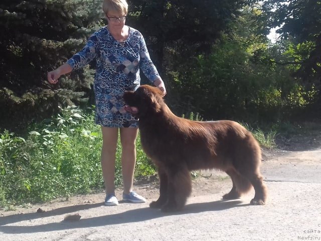 Фотография № 244824