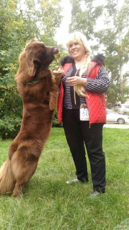 Фотография № 244825