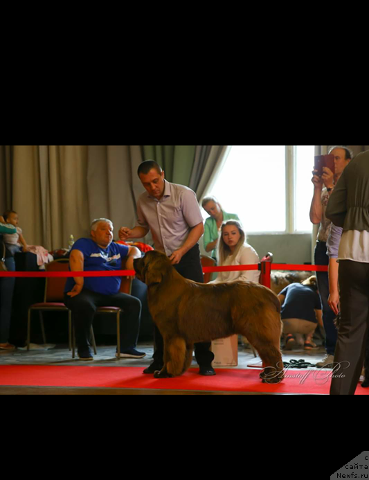 Фотография № 244826