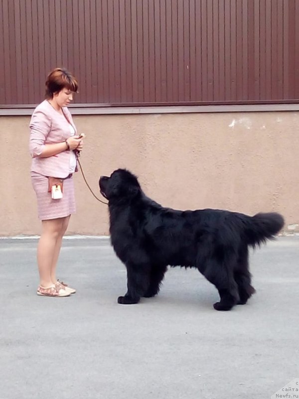 Фотография № 244835