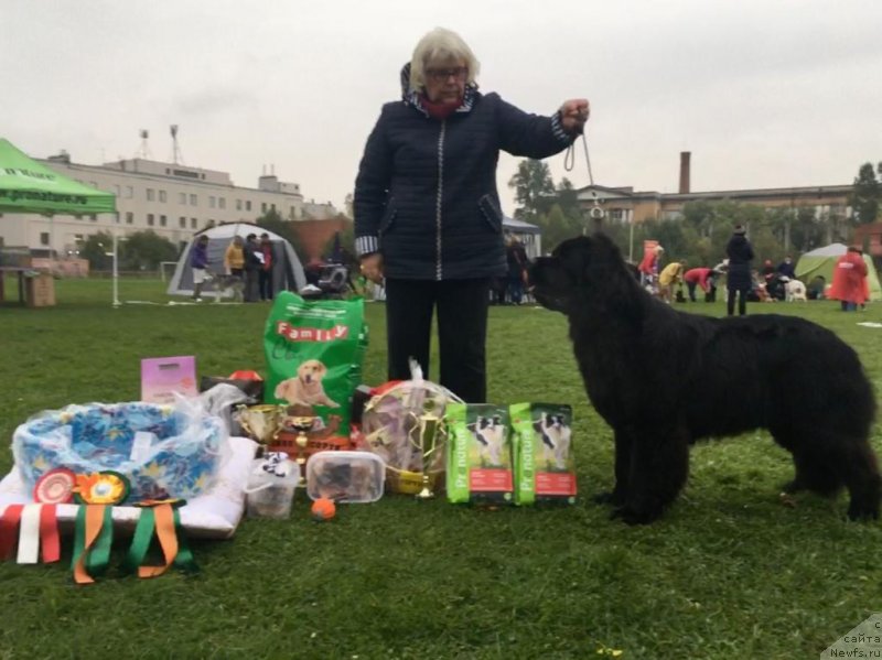 Фотография № 244853