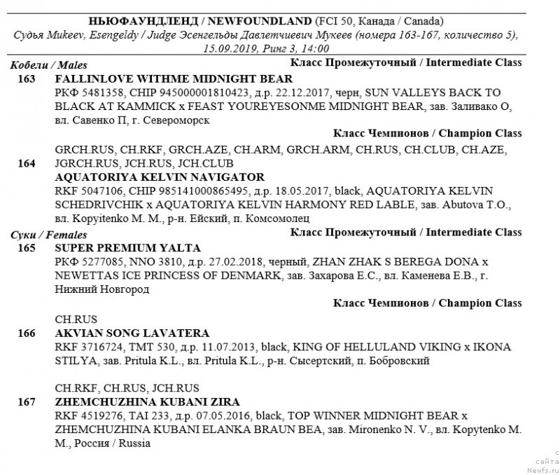 Фото: ньюфаундленд Fallin Love With Me Midnight Bear, ньюфаундленд Aquatoriya Kelvin Navigator (Акватория Келвин Навигатор), ньюфаундленд Super Premium Yalta (Супер Премиум Ялта), ньюфаундленд Zhemchuzhina Kubani Zira (Жемчужина Кубани Зира), ньюфаундленд Akvian Song Lavatera (Аквиан Сонг Лаватера)
