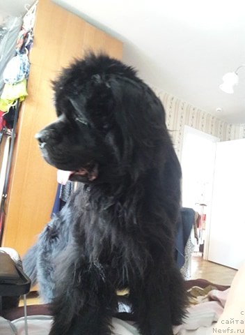 Фотография № 244904