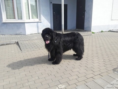 Фотография № 244905