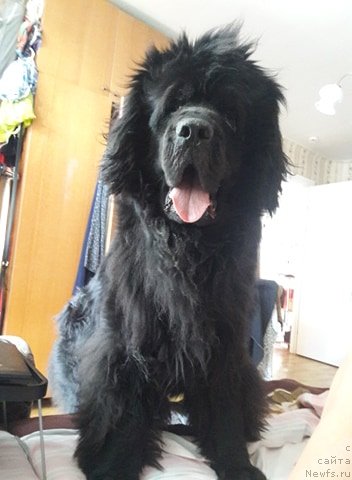 Фотография № 244906