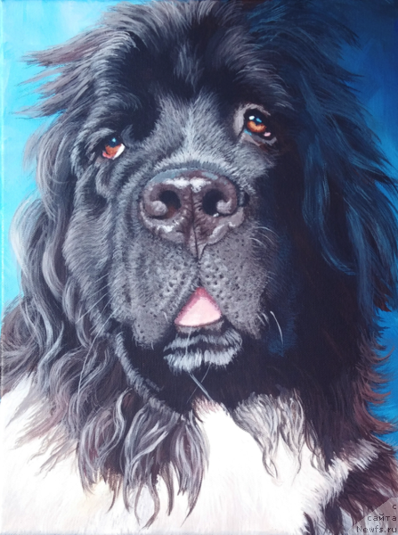 Фотография № 244917