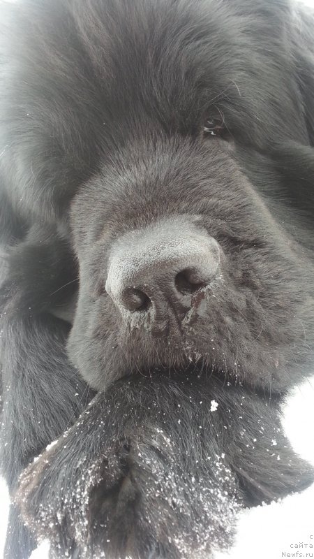 Фотография № 244944