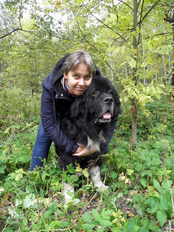Фото: ньюфаундленд Starbimovlav Gardemarin (Старбимовлав Гардемарин), Катерина