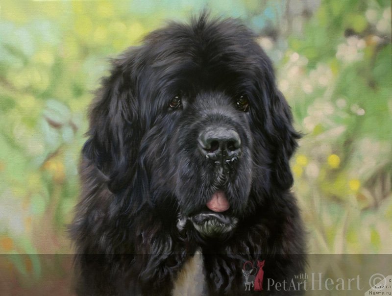 Фотография № 244956