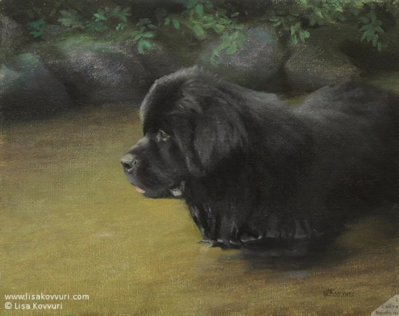 Фотография № 244965