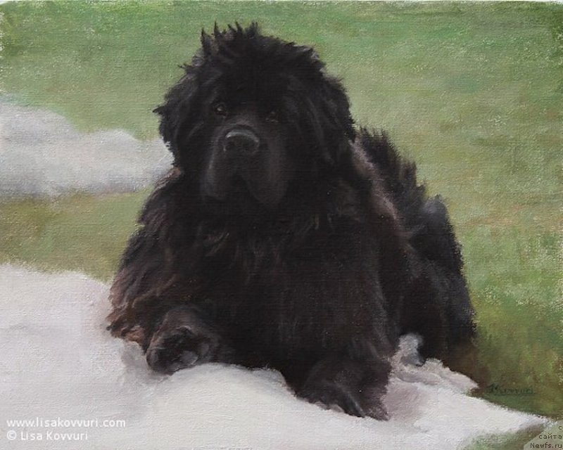 Фотография № 244968