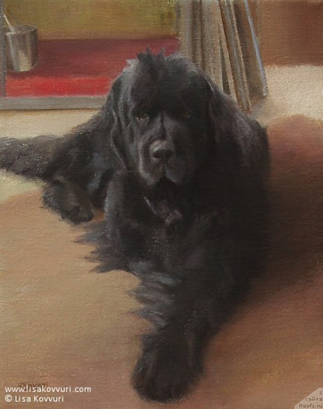 Фотография № 244972