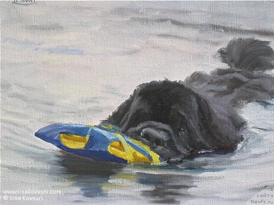 Фотография № 244973